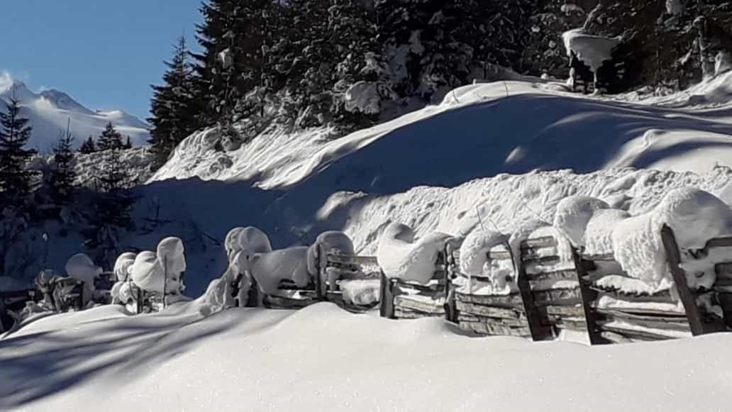 Apartment Jasmin Neustift im Stubaital Esterno foto